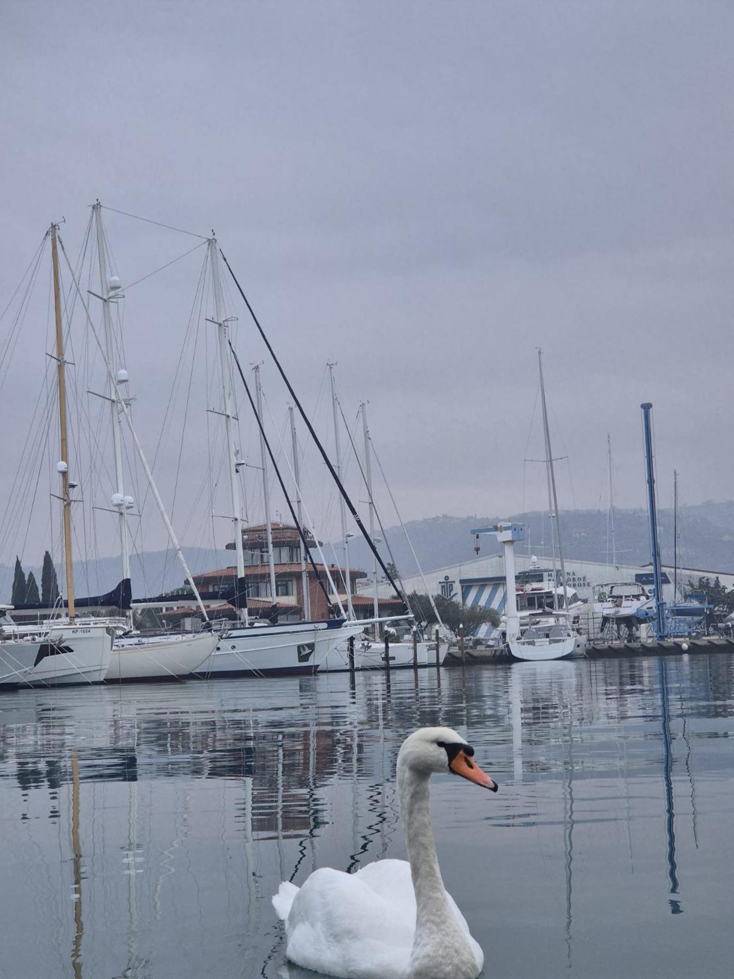 Floating Sea House Aurora Villa Portorož Exteriör bild