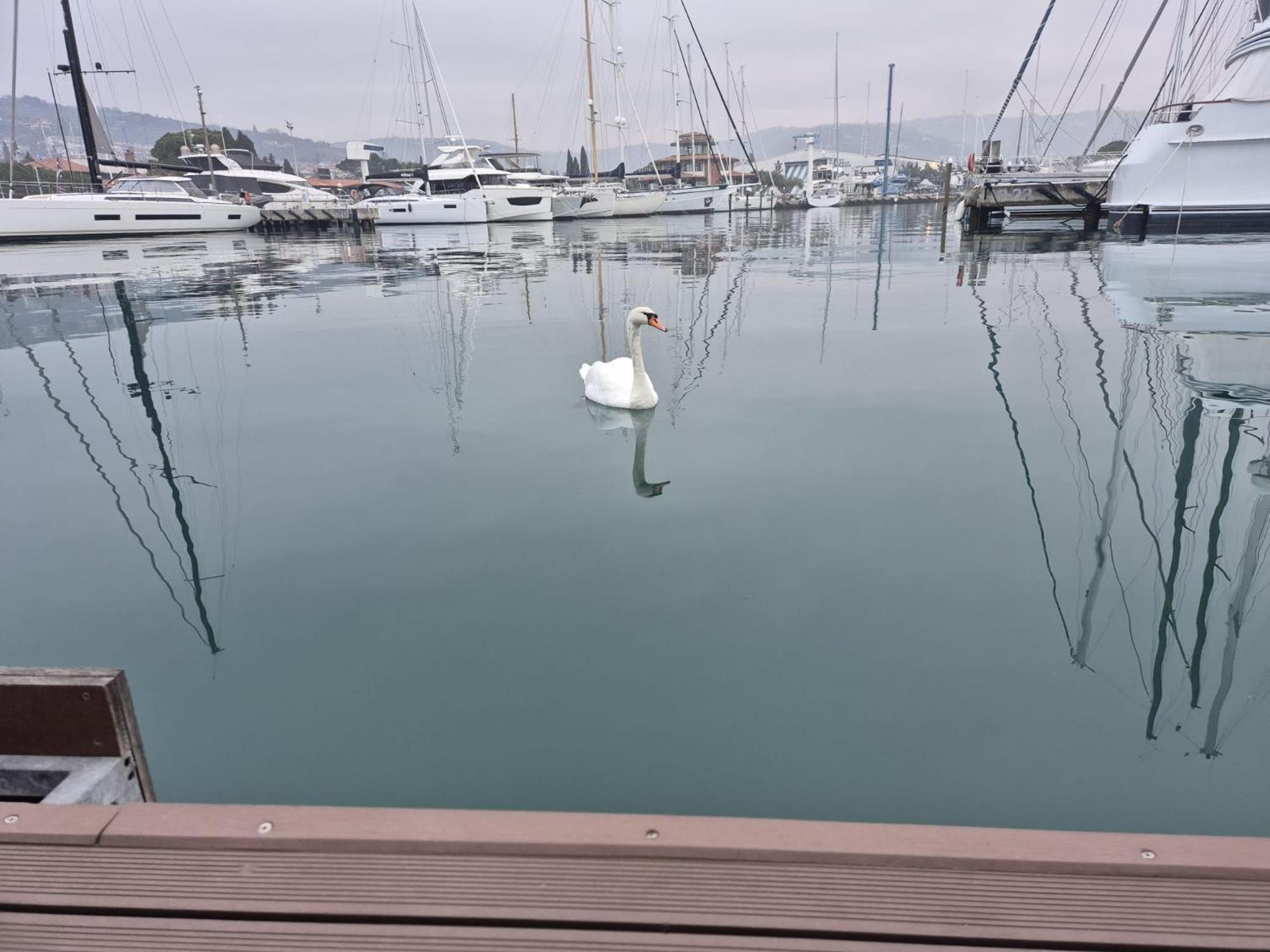 Floating Sea House Aurora Villa Portorož Exteriör bild
